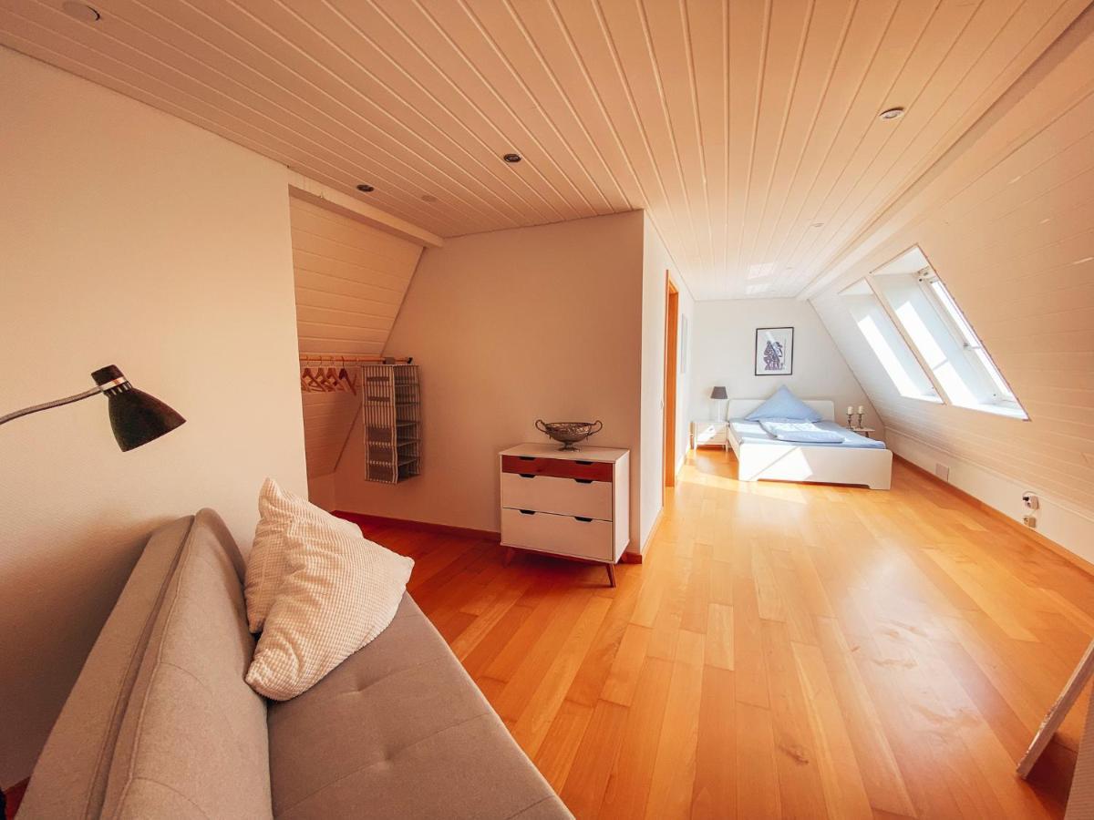 Rheinloft 3 - Grosse Giebelwohnung Mit Dachterrassen An Der Rheinpromenade エメリッヒ エクステリア 写真