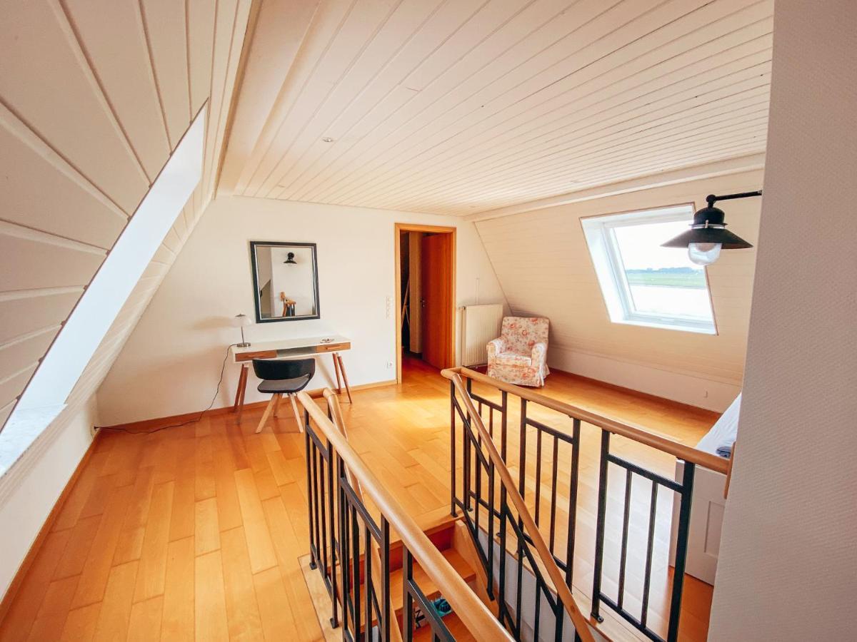 Rheinloft 3 - Grosse Giebelwohnung Mit Dachterrassen An Der Rheinpromenade エメリッヒ エクステリア 写真