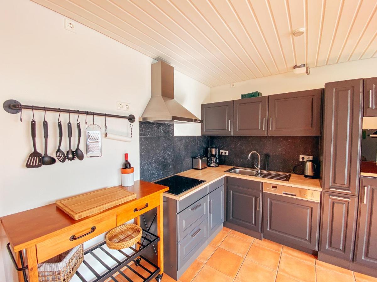 Rheinloft 3 - Grosse Giebelwohnung Mit Dachterrassen An Der Rheinpromenade エメリッヒ エクステリア 写真